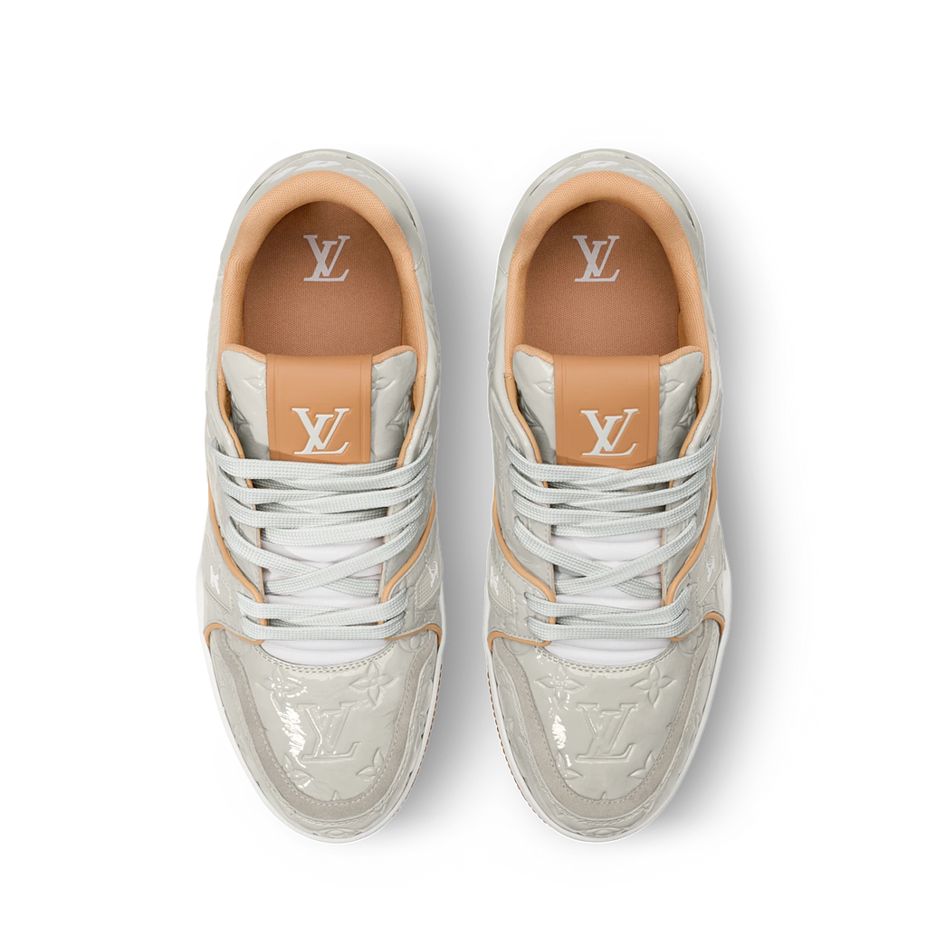 Louis Vuitton TRAINER Gris